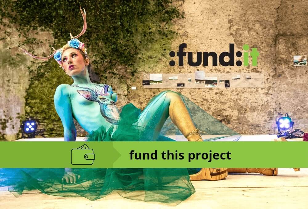 K FEST fundit campaign